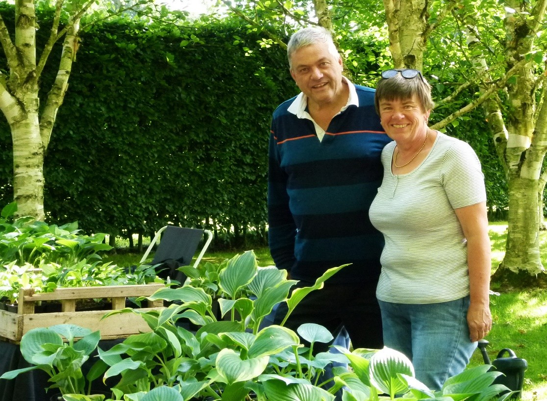 Robert Barlow Hostas